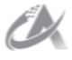 Altay Technology